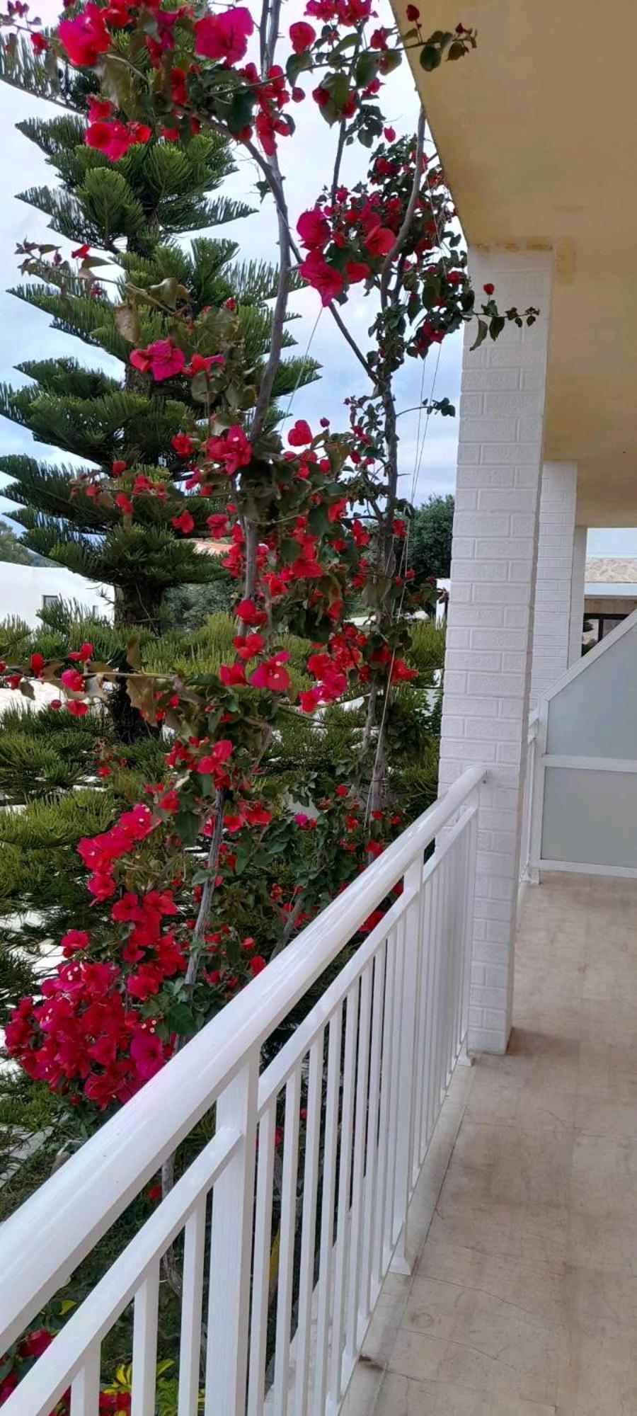 Angelos Apartment'S อาร์ริลลาส ภายนอก รูปภาพ